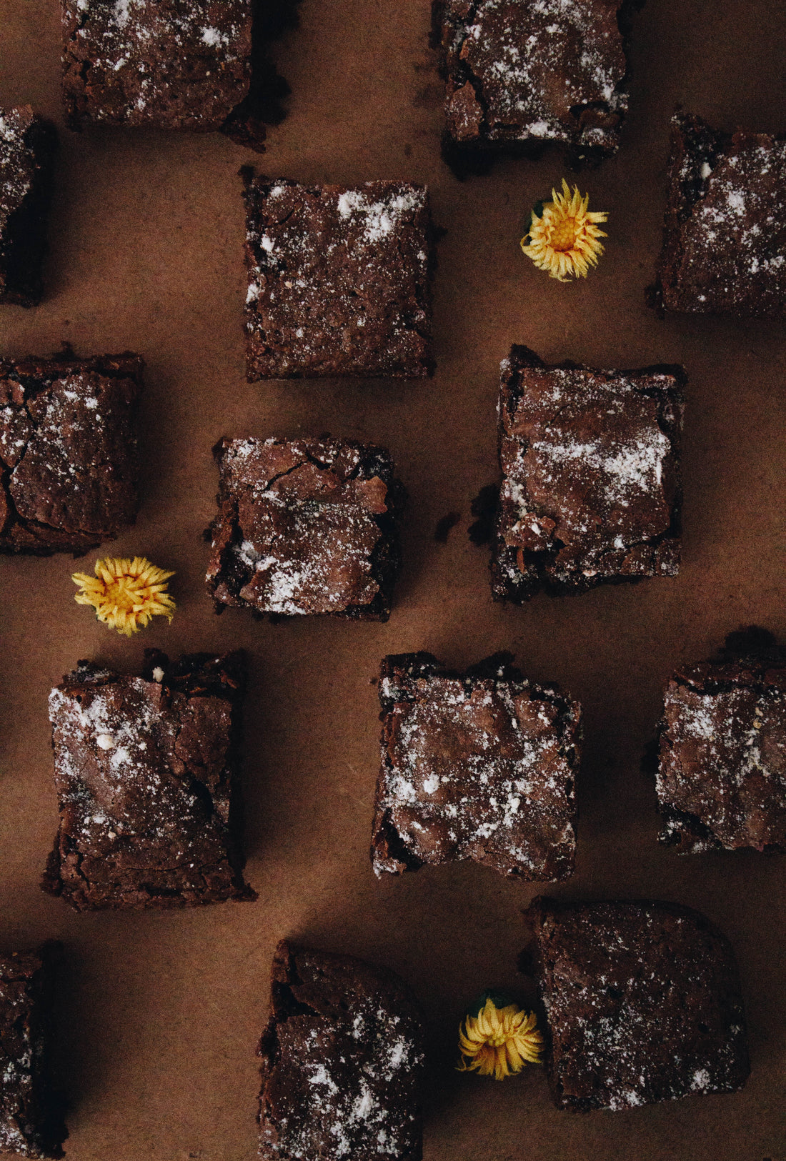 XOCOLATL Recipes, Chapter 3: Brownies and Bars
